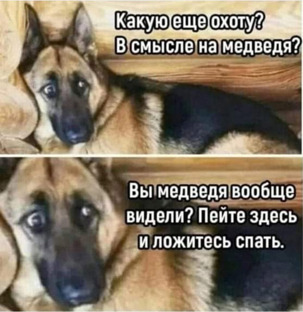паляванне на мядзведзя