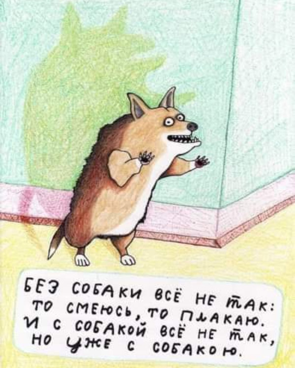 з сабакам
