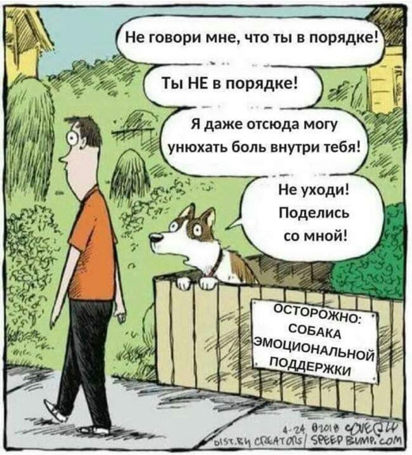 сабака эмацыйнай падтрымкі