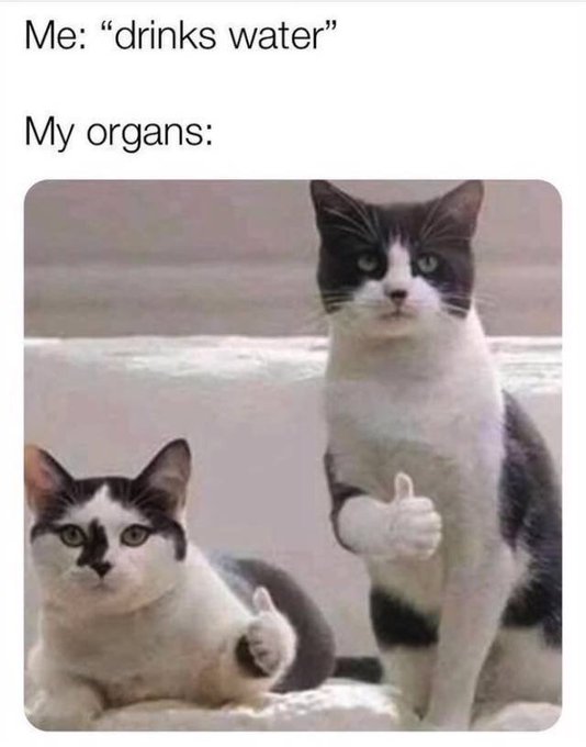 me: drinks water