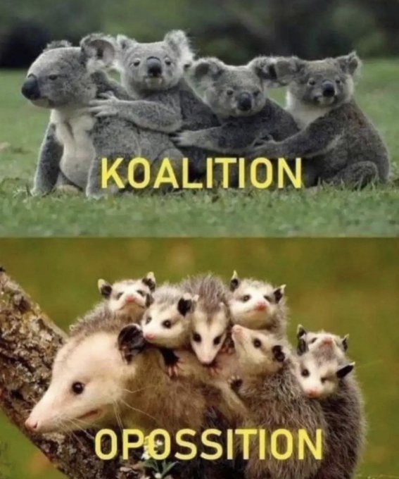 coalition - opposition