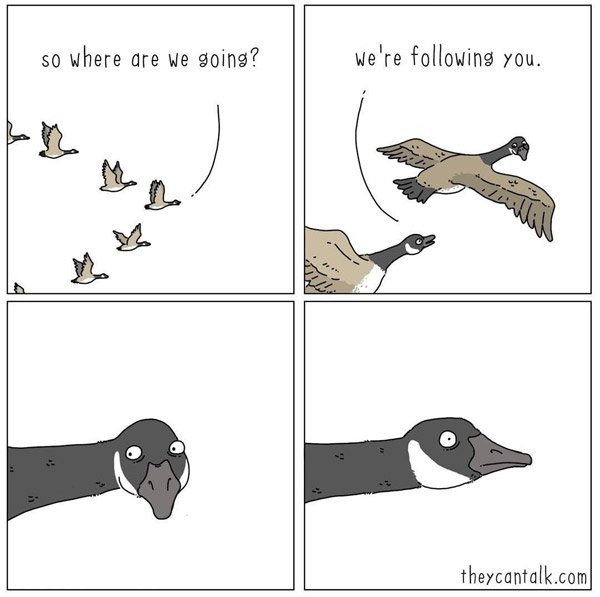we're following you