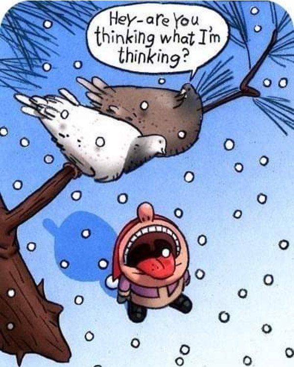 Are you thinking what I'm thinking?