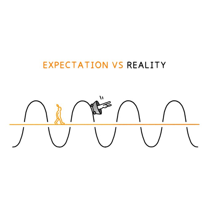 expectation vs reality