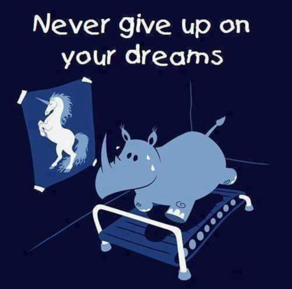 never give up on your dreams