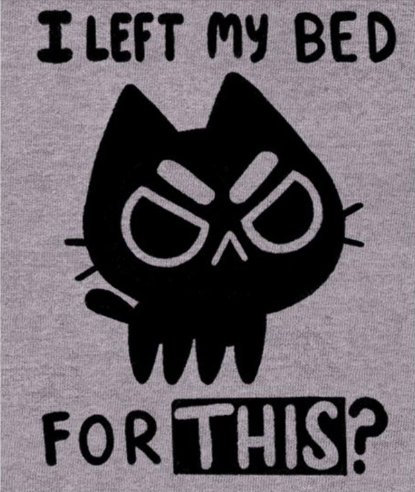 I left my bed for this?