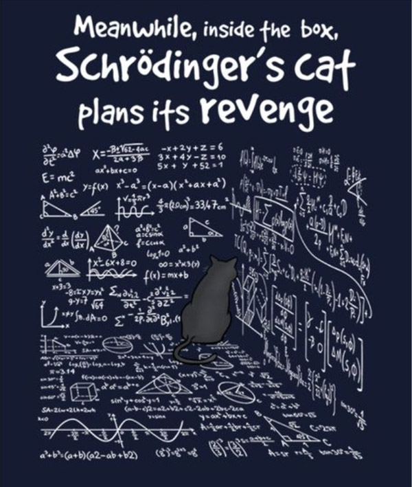 cat plans its revenge