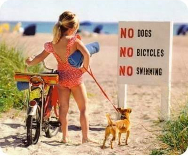 no dogs - no bicycles - no swimming