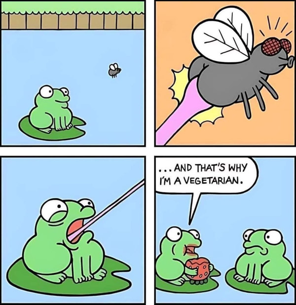 that's why I'm a vegetarian